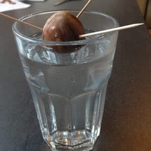 Avocado anzüchten
