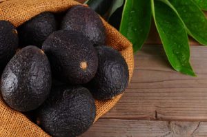 Die Hass Avocado