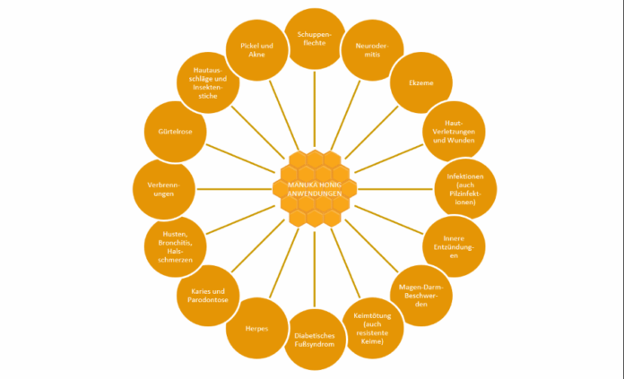 Abbildung: Mögliche Anwendungen des Manuka Honigs in der Übersicht.
