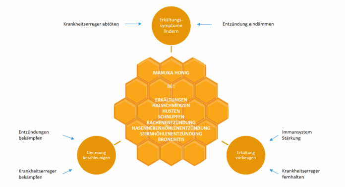 Abbildung: Vielfältige Hilfe von Manuka Honig bei Erkältungskrankheiten.
